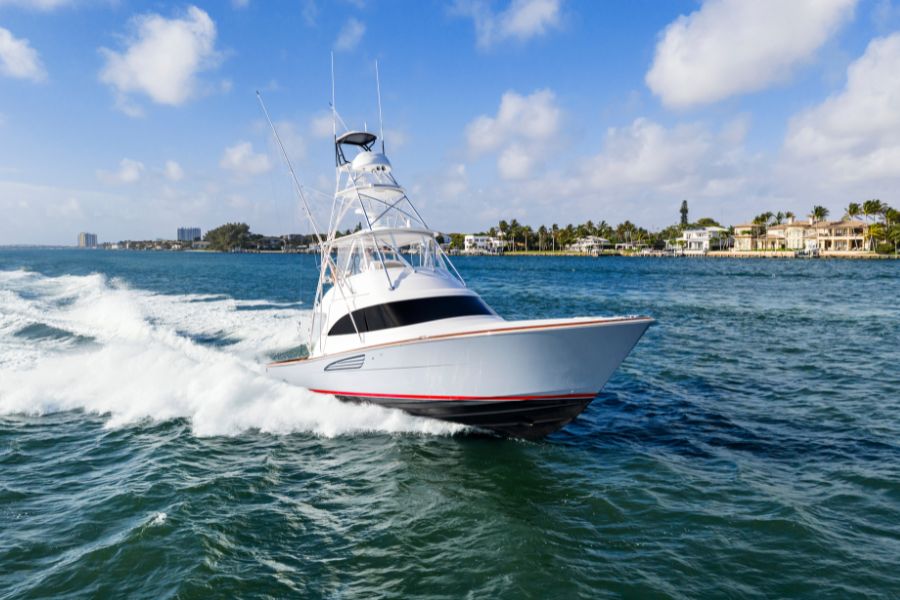 50 Billfish