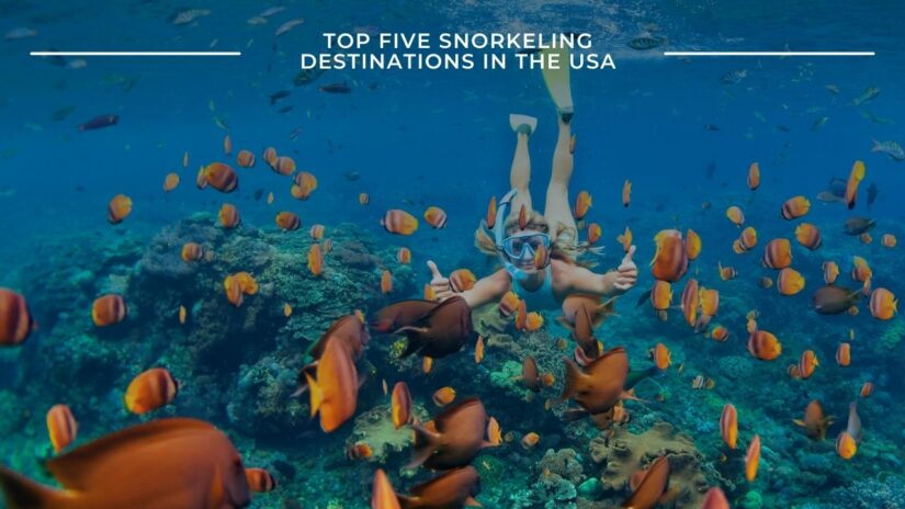 Top Five Snorkeling Destinations in the USA