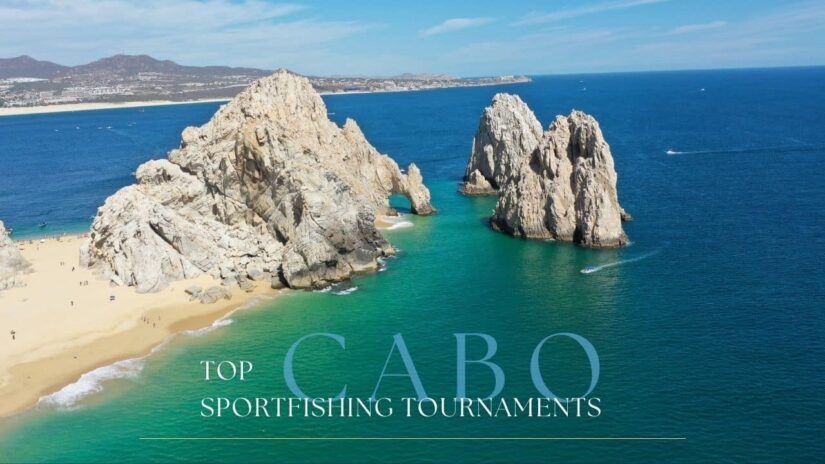 Top Cabo Sportfishing Tournaments