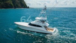 In-Stock Viking Yachts: Immediate Delivery & Upcom...